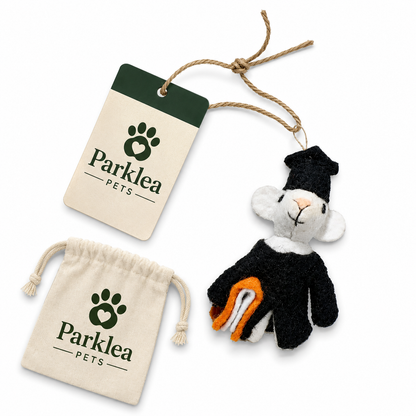 Archibald Mouse Eco Cat Toy with Catnip