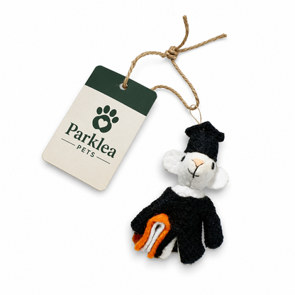 Archibald Mouse Eco Cat Toy with Catnip